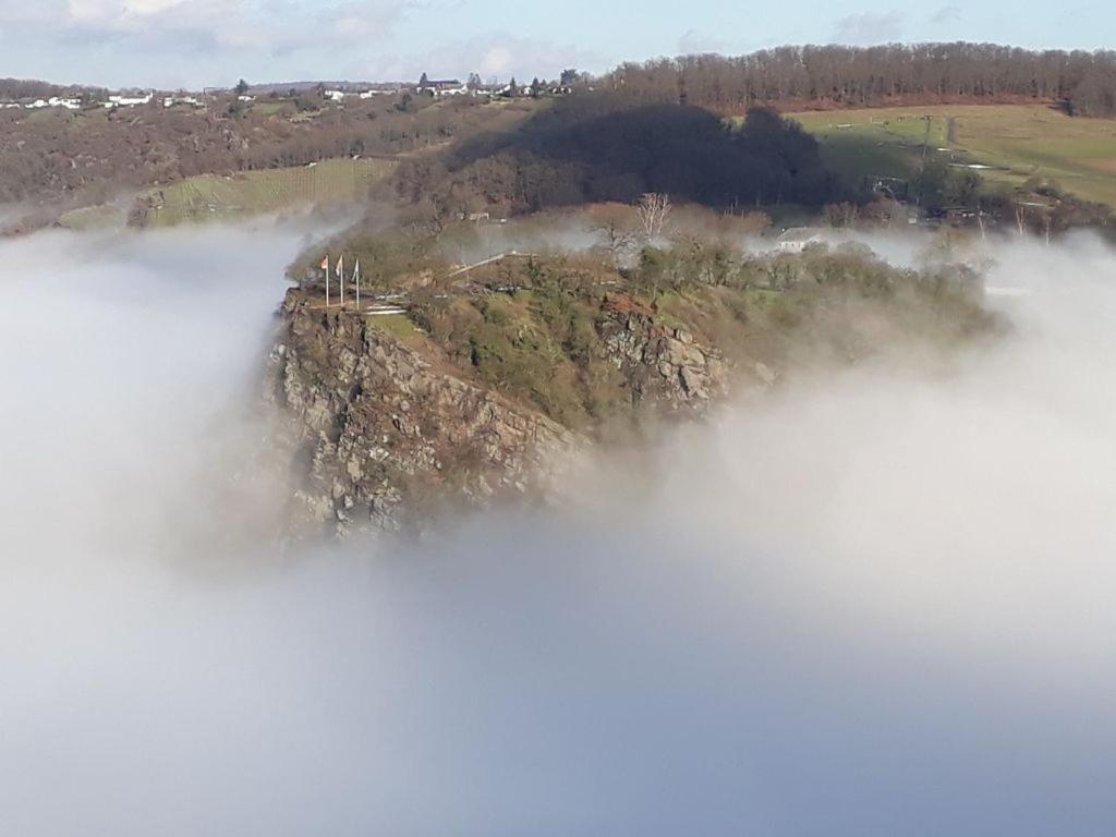 Ferienwohnung 554 - Urbar, Vis-A-Vis Der Loreley Urbar  Exteriér fotografie