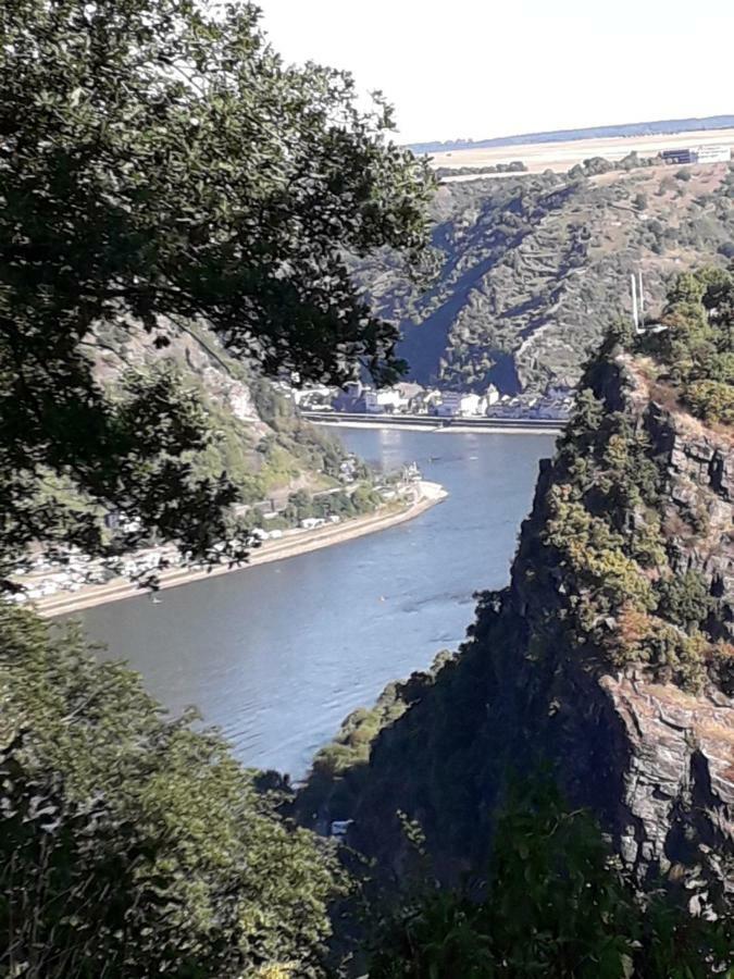 Ferienwohnung 554 - Urbar, Vis-A-Vis Der Loreley Urbar  Exteriér fotografie