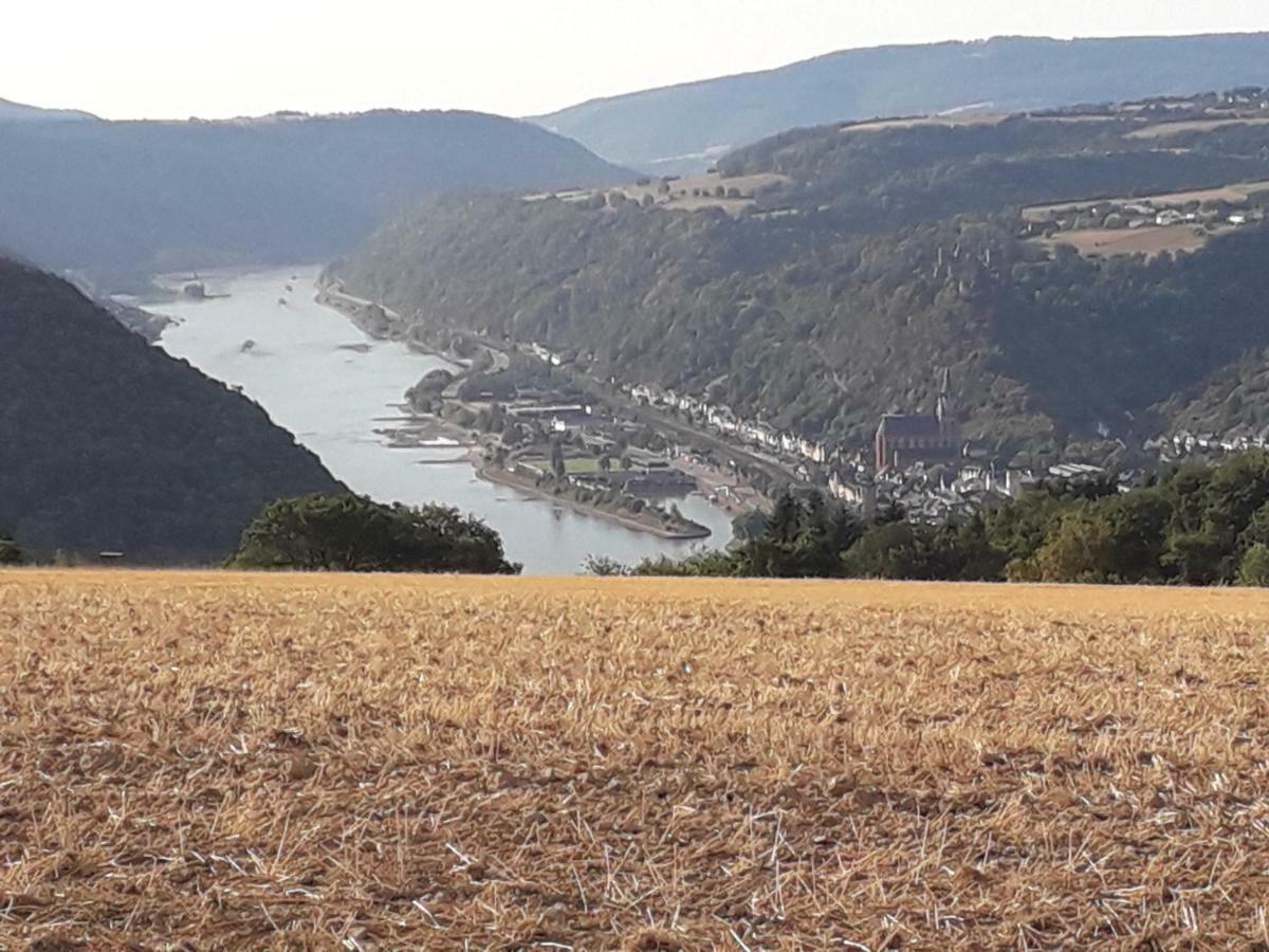 Ferienwohnung 554 - Urbar, Vis-A-Vis Der Loreley Urbar  Exteriér fotografie