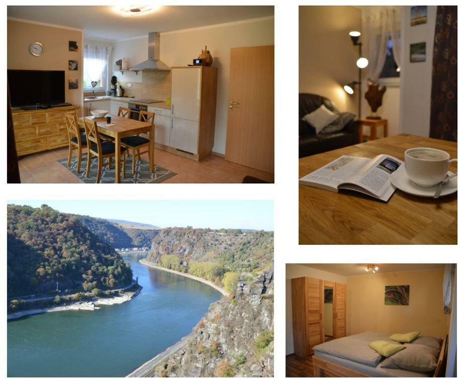 Ferienwohnung 554 - Urbar, Vis-A-Vis Der Loreley Urbar  Exteriér fotografie